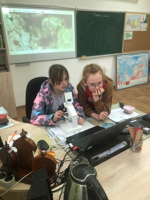 Микромир под микроскопом.